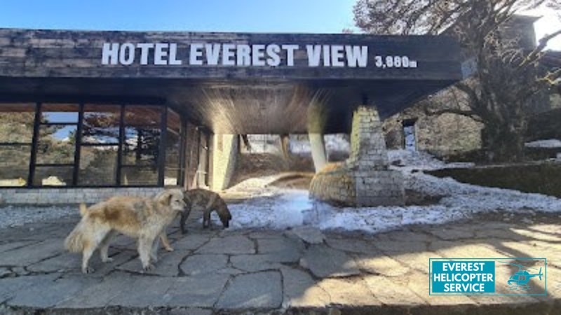 How Much Does It Cost To Stay At Hotel Everest View?